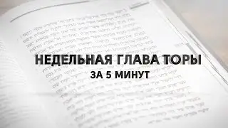 Глава 