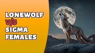 Lone wolf v/s Sigma females #lonewolf #sigmafemale #sigmarules #wolfmotivation