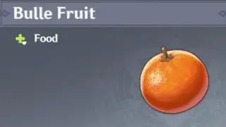 HOW TO GET BULLE FRUIT Genshin Impact