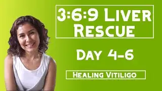 3:6:9 Liver Rescue Day 4-6