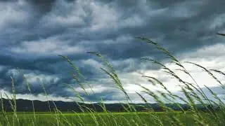3 Hours of Calm Windy Winter Night ❄️ Deep Sleep Sounds (No Talking)