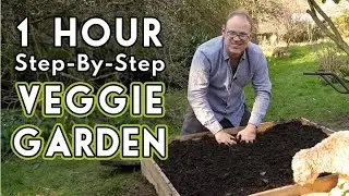 Gardening 101: How To Start A Garden
