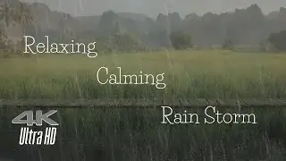 Peaceful Rain Storm 2 Hours 🌧️ Soft Rainfall | Relaxing Nature Ambience to Fall Asleep Fast