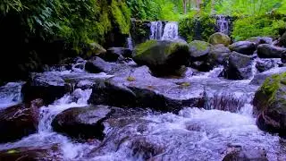 Mountain River Flowing Sounds as Background White Noise for Productivity