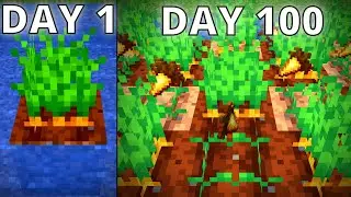 Can This Carrot Farm Make Me A Minecraft Billionaire?