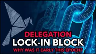 Delegation Lock-In Block - Why Was It Early? #Songbird