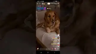 ليف جوزف مدور مباشر 🥰🥰🥰🥰💙💙💙💙💙