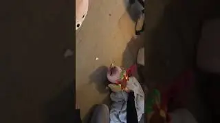 The story of tococat