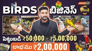 Start Bird Business from Home Telugu in 2025 | Low Investment High Profits | Rajeev Pasupuleti