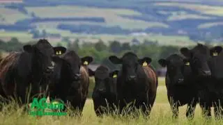 Around Kansas -  Ron Wilson's Poem 