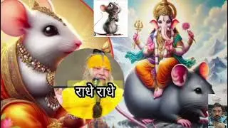  चूहों का बार बार घर आना शुभ या अशुभ ।। प्रेमानंद जी महाराज।।