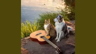 Soft Paws Harmony