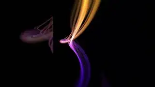 Abstract Lights