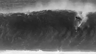 Sour Grapes  surf trailer