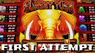 (NEW GAME) Sunset Tusk (First Attempt) MAX BET