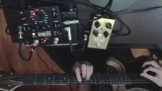 Nemesis Delay - Vertigo Tremolo Feedback Insert (Tape Engine)