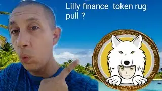 Lilly finance token is a rug pull