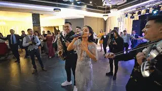 Orizont Band ❌ Puica durdulie ❤️ (LIVE Nuntă Georgiana & Ionut) 🎤