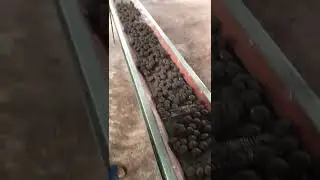 🚀 Upgrade Your Pelletizing Process with Jianjie Binder! 🚀
