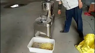 TPQS 400 Potato peeling cutting machine