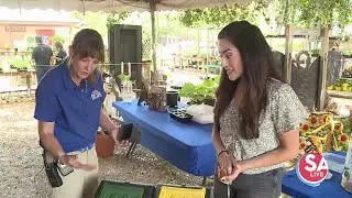 Happy Space: Composting 101 with Rainbow Gardens | Happy Space | KSAT-12