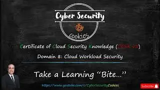 08 - CCSK v5 - Domain-08