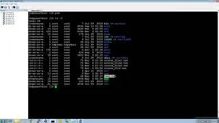 Apache_Hadoop_1X: Copy File from your Localsystem to HDFS Storage & Delete Files in HDFS Storage