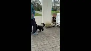 Momo 31 03 2025Tierpark Lange Erlen