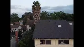 Robert Moser Live Stream