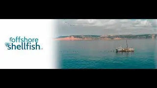 Offshore Shellfish - Eat Mussels, Save the Planet. Our sustainable seafood story.