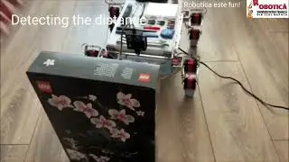 Don Iasmina Ioana [Robotica Engleza Cluj]