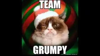 Grumpy Cat Memes Twinkle Twinkle Little Star | Grumpy Cat Memes