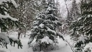 Winter Snowshoeing the southern Adirondack Trail & West Canada Valley battle site during snowstorm 