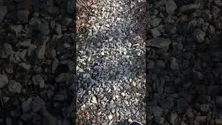 Delphi: The full raw uncut video recorded on Liberty German's iPhone 6s