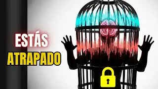 Si Naciste Después de 1990, Tu Cerebro Funciona Completamente Diferente