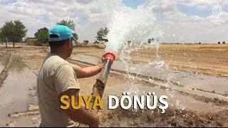 Suya dönüş: Suruç'ta göç tersine döndü