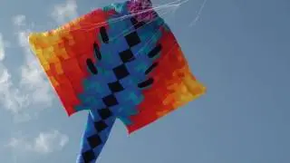 Giant Manta Ray Kite from Yves Laforest and Gift of Wings