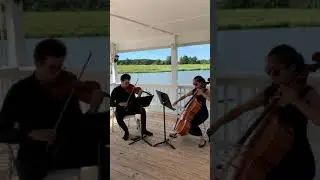 Jurassic Park theme-violin/cello duet