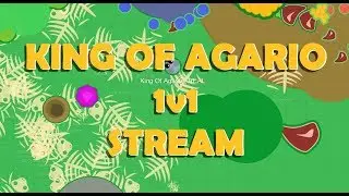 MOPE.IO // LETS 1V1 WITH KING OF AGARIO // WILD MOPE 1 - MOPE BETA