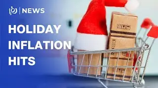 Holiday magic meets harsh reality: US shoppers feel inflation sting at Christmas market