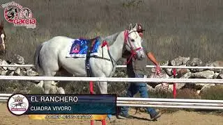 El Nuevo Jalpa Cuadra Carrujo vs El Ranchero Cuadra Vivoro Carril San Juli&aacute;n Jalisco 200 V.T.P