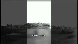 A Desperate Fight for Survival