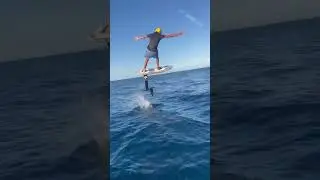 wake foil 360 width custom board from @boadaboards #foil #water #youtubeshorts #sports #wakefoil