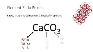 Trace Element Proxies in Corals Coral Paleoclimate (part 4)