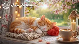 Soft Cat Music for Home Alone Cats 🐱 Gentle Healing Sounds for Anxiety Relief & Calm Serenity