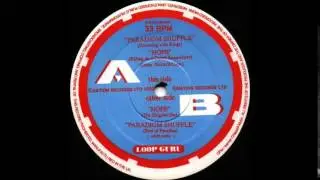 Loop Guru -  Paradigm Shuffle ( bird of paradise )  1993
