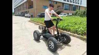 2021 Trendy Design Hisun Electric 4 Wheel Drive Mountain Tank / Escooter