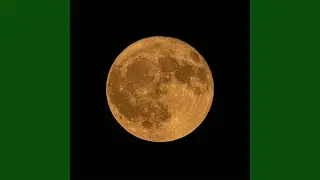 Sturgeon Moon