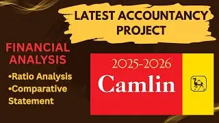 Latest Accountancy Project | CAMLIN Company | Ratio analysis | Comparative statement | Class 12th