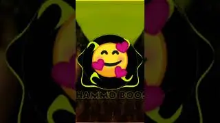 302 music